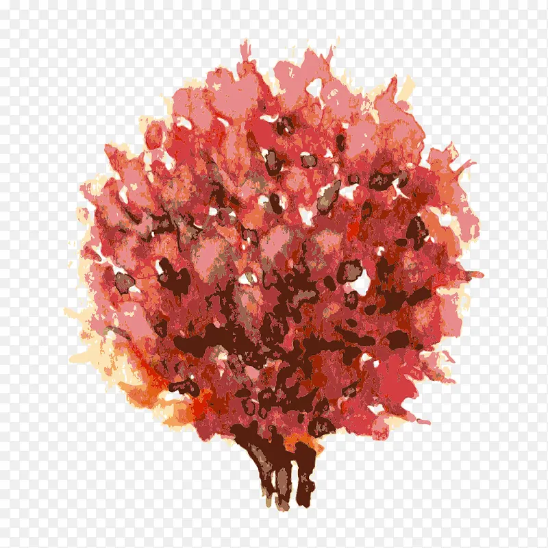 �� ��ľ-������