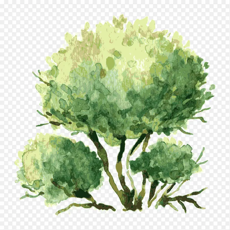 �� ��ľ-������