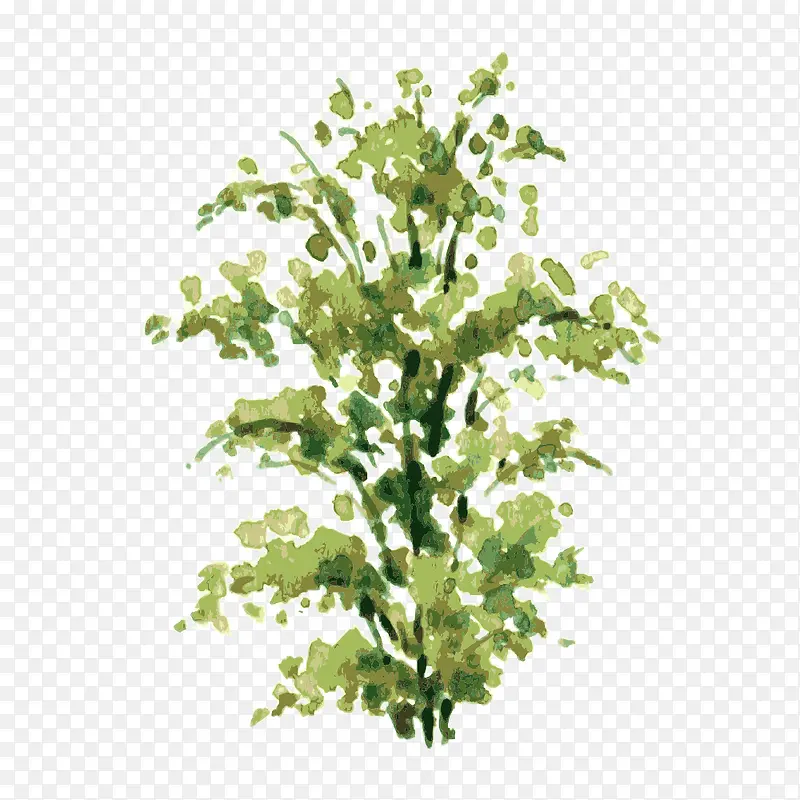 �� ��ľ-������