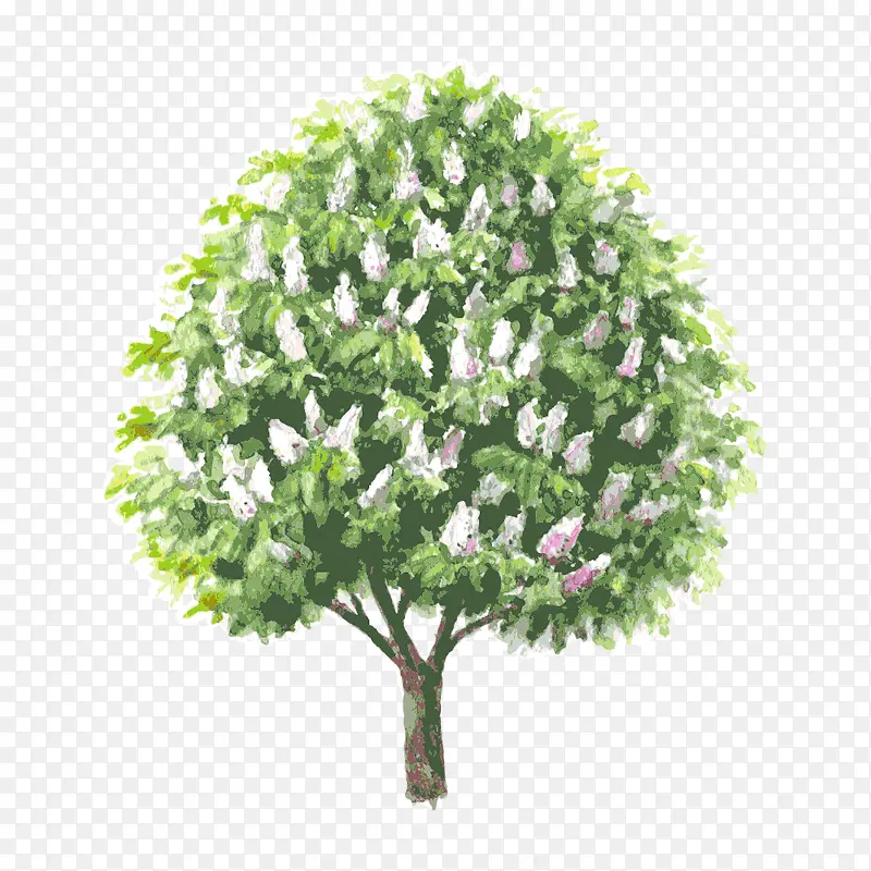 �� ��ľ-������