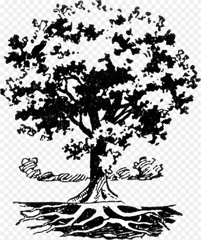 �� ��ľ ľ-������