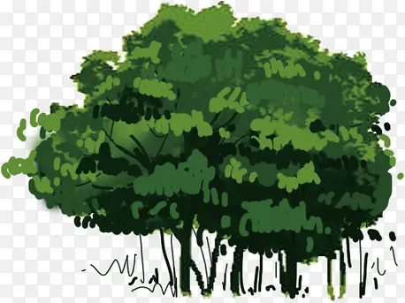 �� ��ľ-������