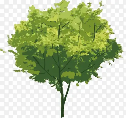 �� ��ľ-������