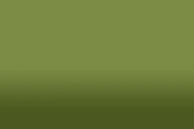 ��ɫ���䱳��-������