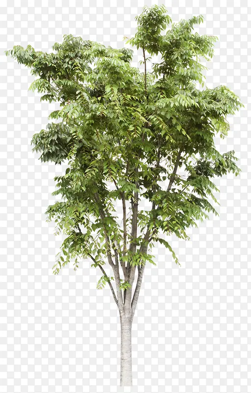 ����-������