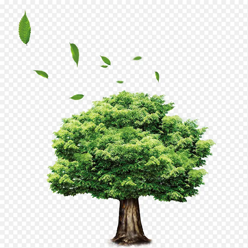 ����-������