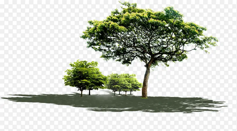 ��-������