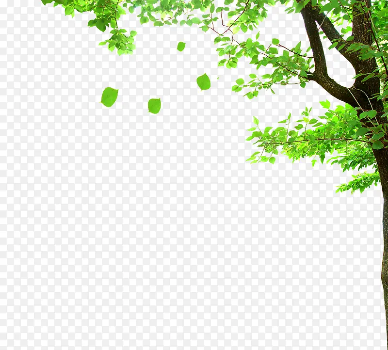 ����-������