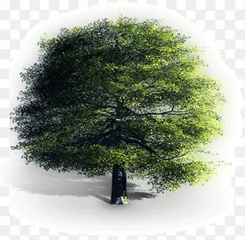 ����-������