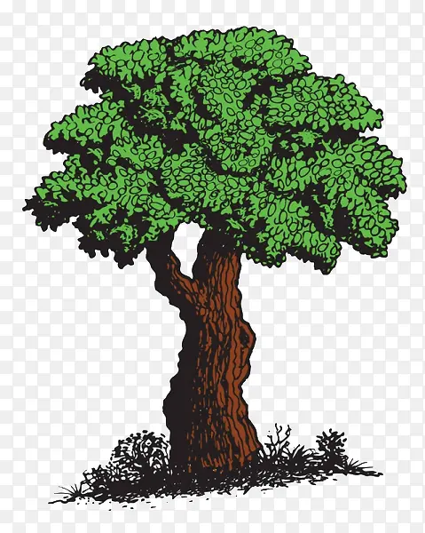 ��ͨ���ز�-������