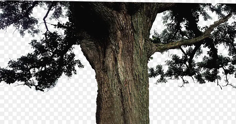 ����-������