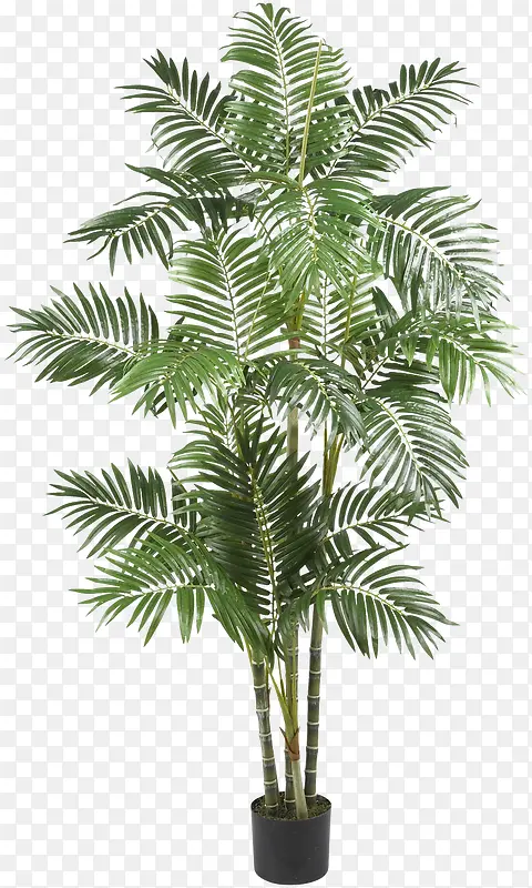 ������-������