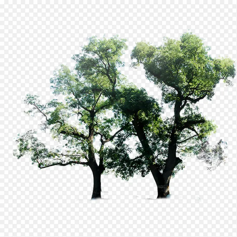 ����-������