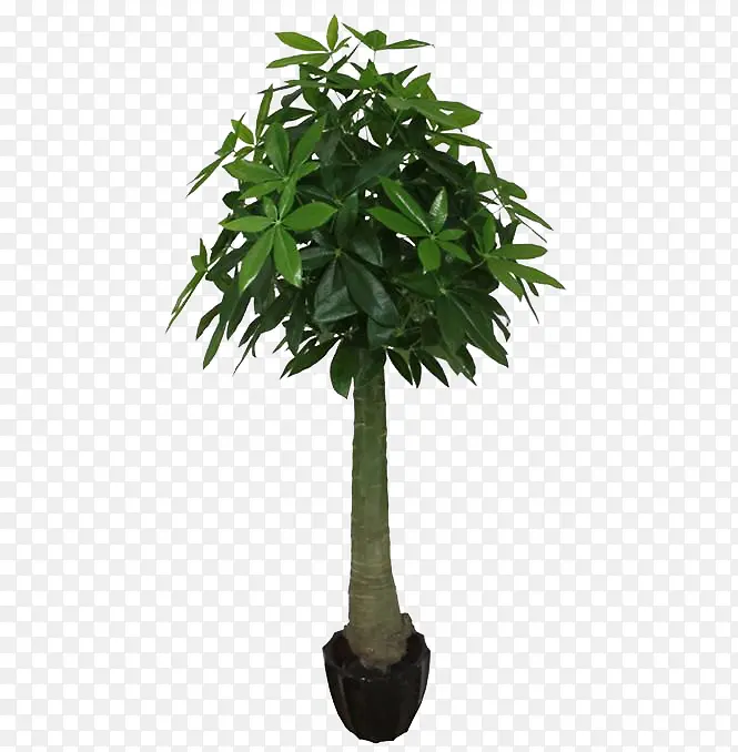 �����-������