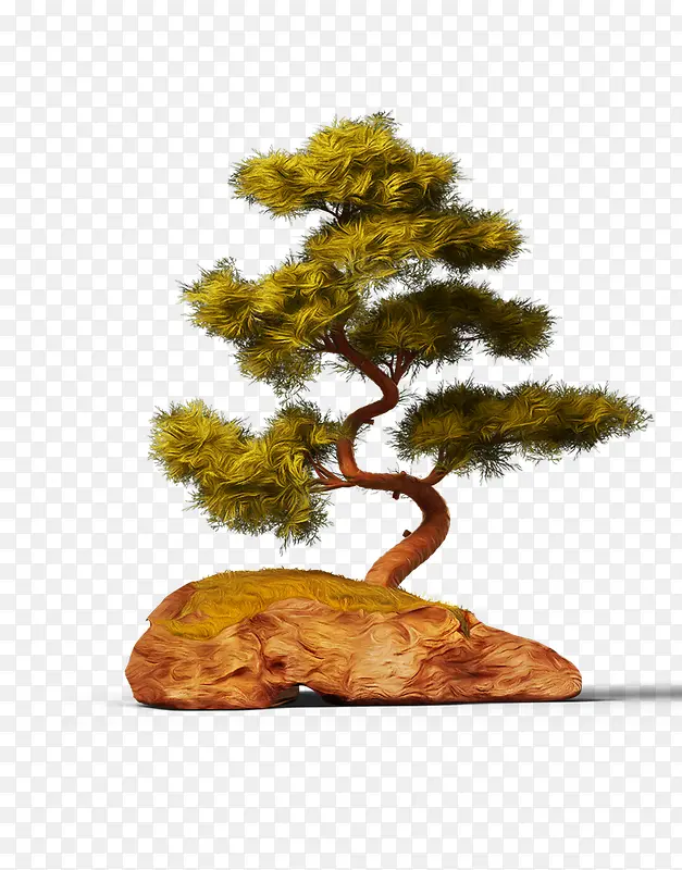 ɼ��-������