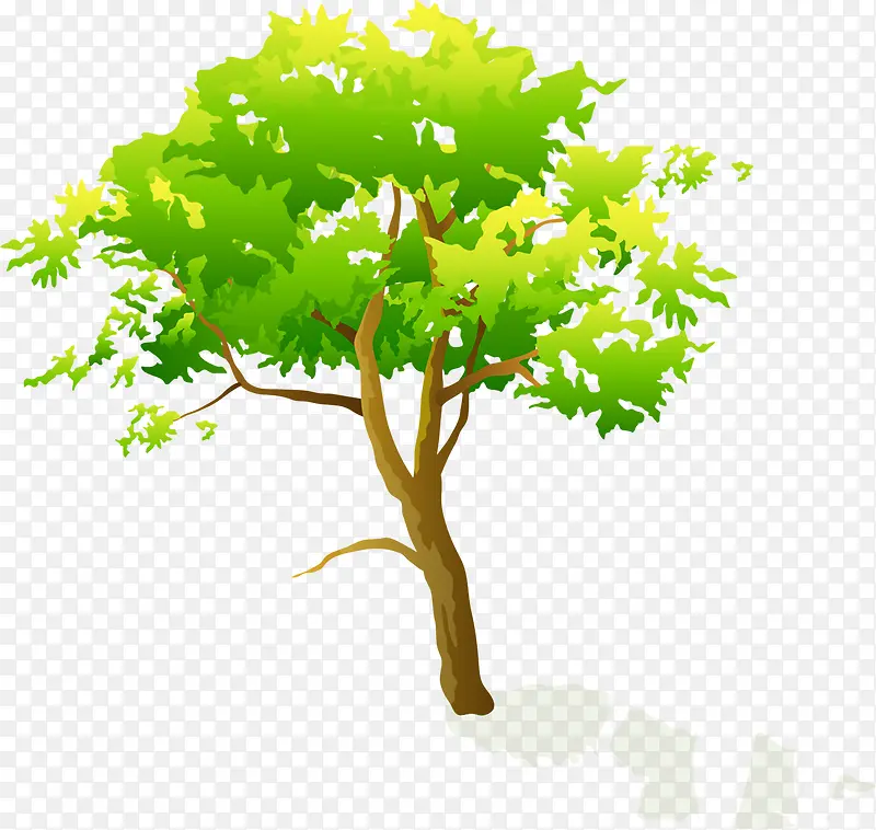 ��ͨ����-������