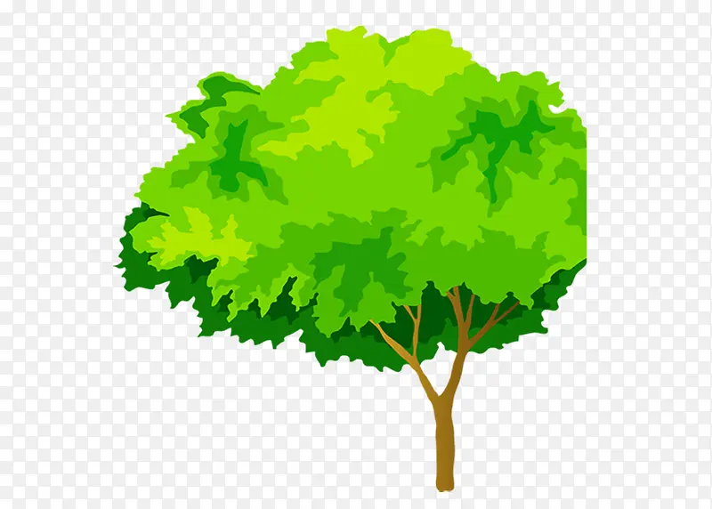 ��ͨ����-������