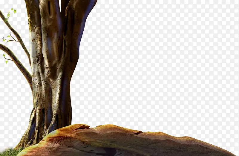 ��ͨ����-������