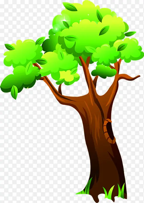 �����ֻ�ʸ������-������