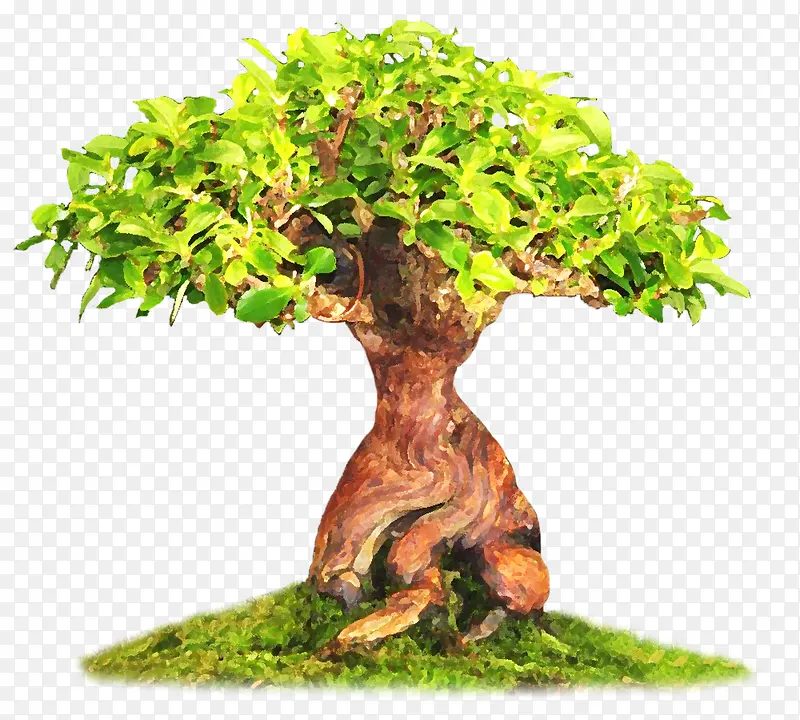 ����-������