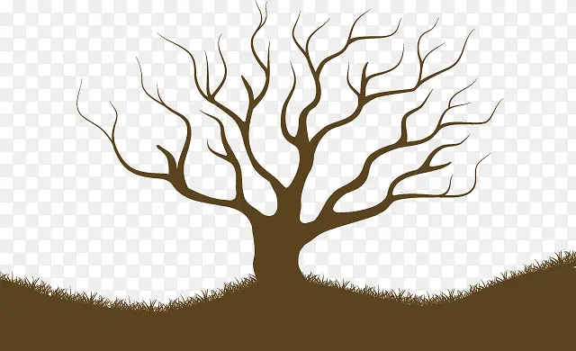 С��-������