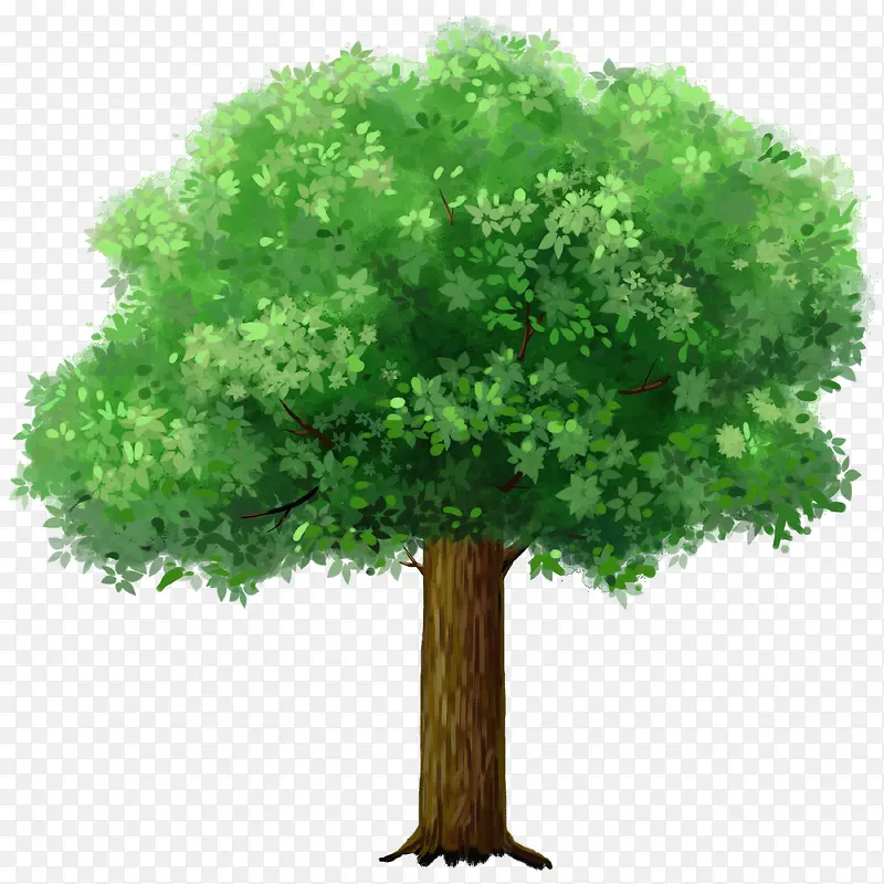 ����-������