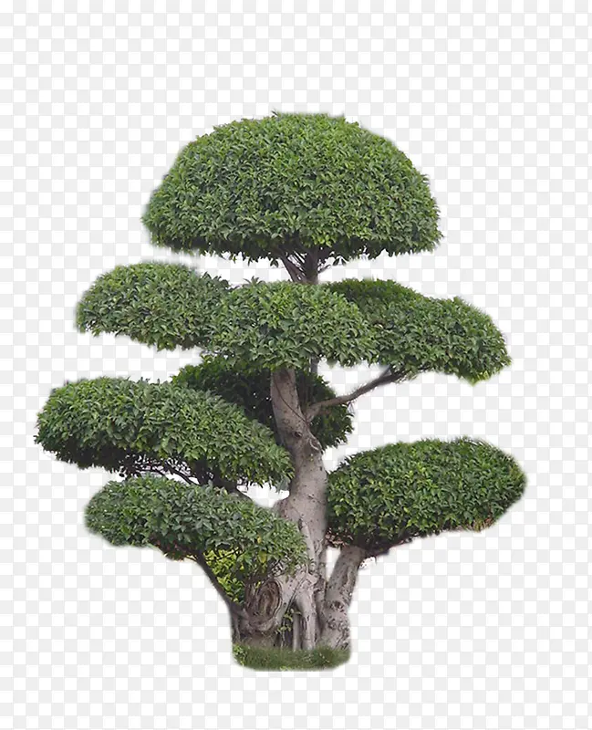 ����������-������