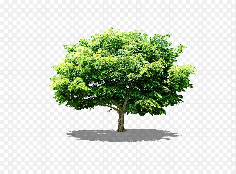 ��-������