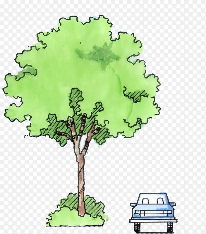 ��ͨ����-������