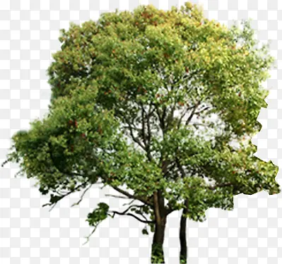 ��-������