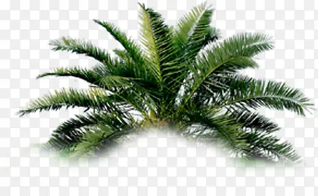 ��-������