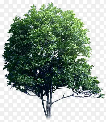 ��-������