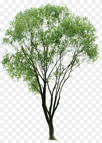 ��-������