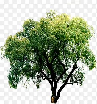 ��-������