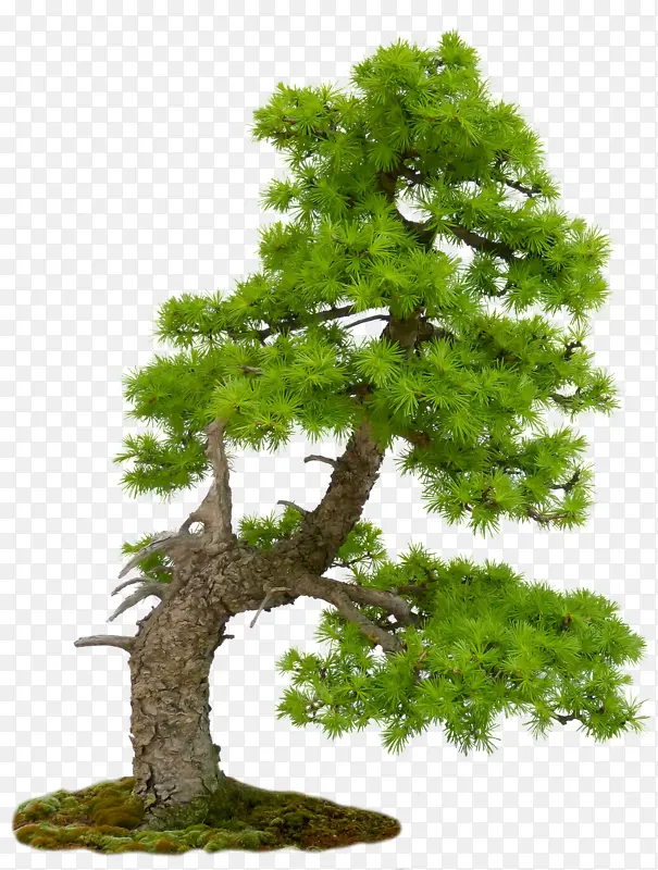 ԰�־��۴���-������