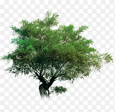 ����-������