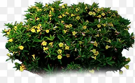 ��-������