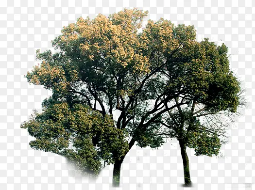 ��-������