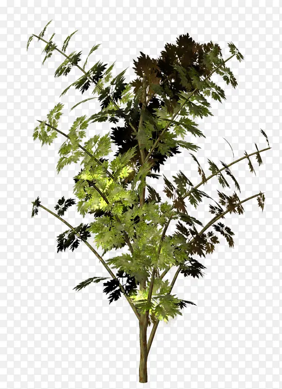 ֲ�����-������