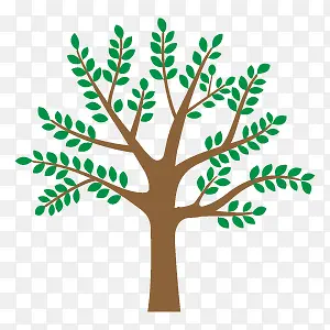 ��ɫ����-������