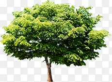 ���컷����������-������