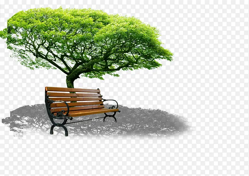 ��԰����ֲ�����-������