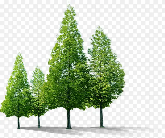 ������ɫ��Ȼ����-������