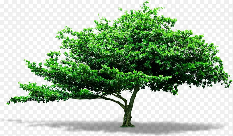 ���쾰�۳��д���-������