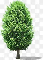 ��Ӱ����԰�ִ���-������