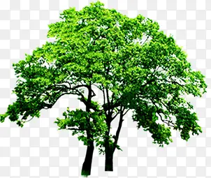 ��������԰��ϡ�����-������