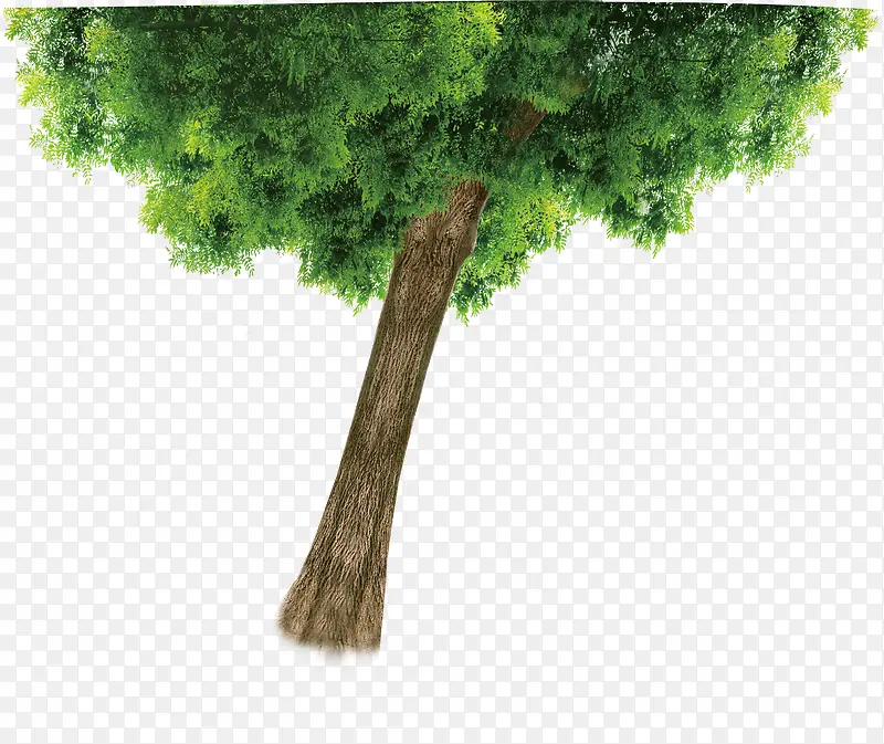 ��ɫ�ֻ���ˬ����-������