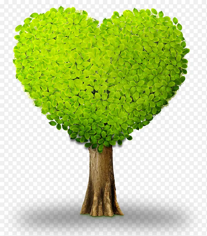 ���칫�氮�Ĵ���װ��-������