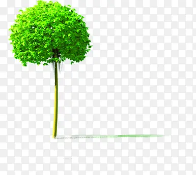 ���컷��Բ�δ���-������