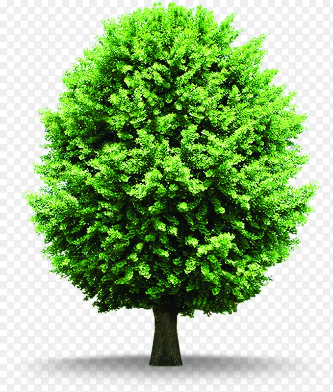 ������ɫ��������-������